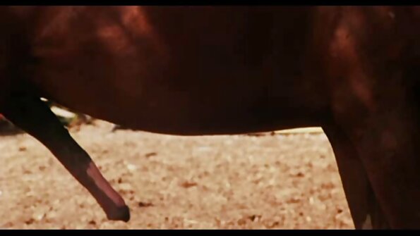 ಡೀನ್ ಬಯಸಿದ್ದನ್ನು ಅನುಸರಿಸುವ ಪುರುಷ ಶಿಕ್ಷಕರು